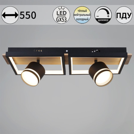 Потолочный светильник Reluce 19560-0.3-2+2 BK+WOOD