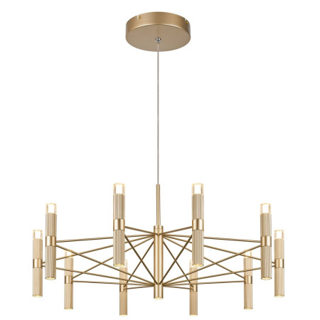 Подвесная люстра Favourite Blick 4759-10P