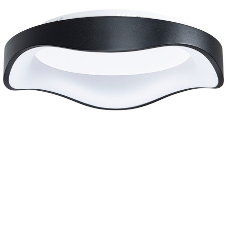 Потолочный светильник Arte Lamp Ankaa A3085PL-48BK