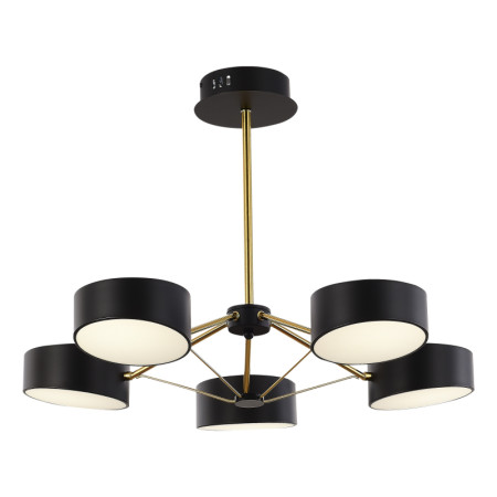 Потолочный светильник Evoluce Valle SLE6005-402-05