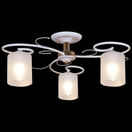 Потолочная люстра Reluce 00738-0.3-03