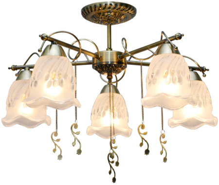 Потолочная люстра Toplight Delia TL1195X-05AB