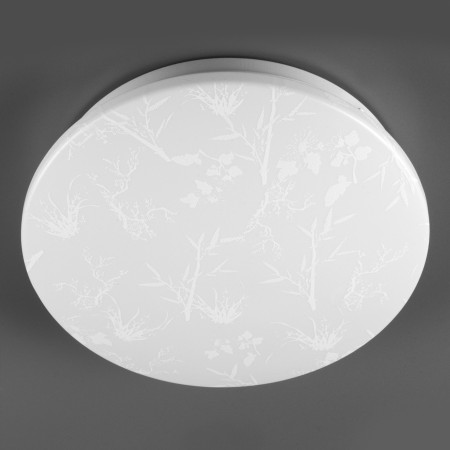 Потолочный светильник General Plant GSMCL-020-24 800261