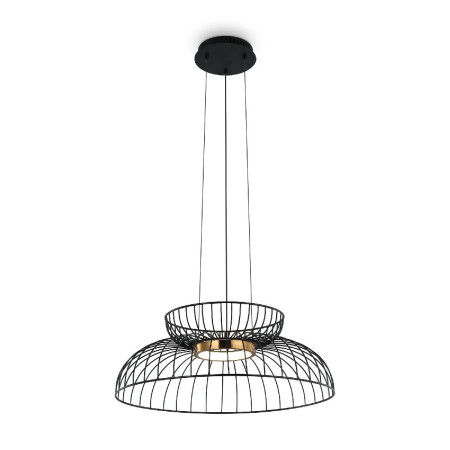 Подвесной светильник Freya Citrus FR5398PL-L6B