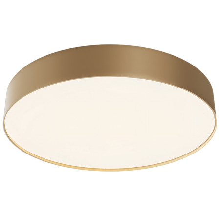 Потолочный светодиодный светильник Maytoni Technical Ceiling Zon C032CL-45W4K-RD-MG
