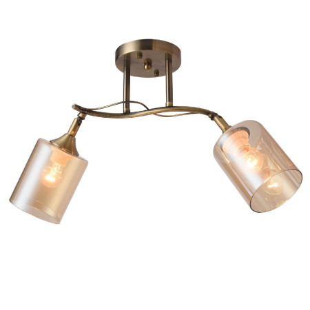 Потолочная люстра Natali Kovaltseva Taylor 81452/2W