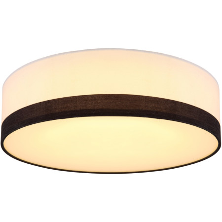 Потолочный светильник Globo Maggy 15385D1