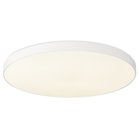 Потолочный светильник Simple Story 1204-LED48CL