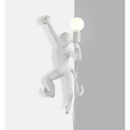 Настенный светильник Aployt Magali APL.309.11.01