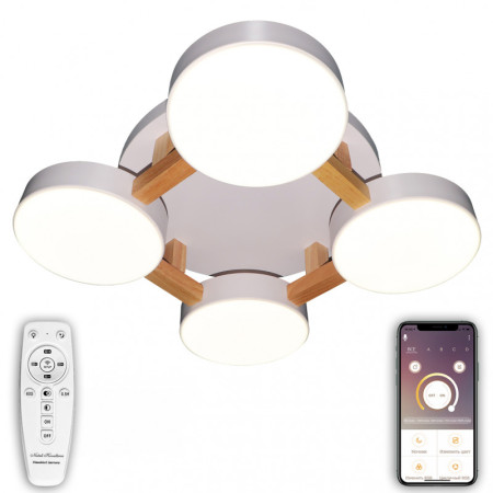 Потолочный светильник Natali Kovaltseva LED LAMPS 81325