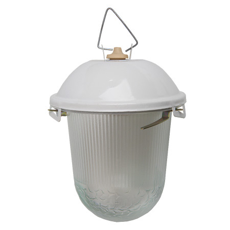 Подвесной светильник General НСП 02-100-001.01 437821