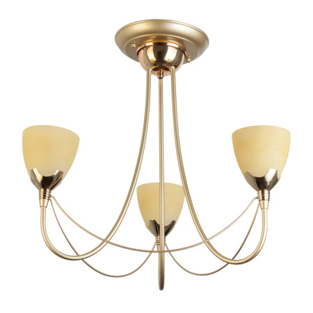 Потолочная люстра Toplight Lucia TL3630X-03MG