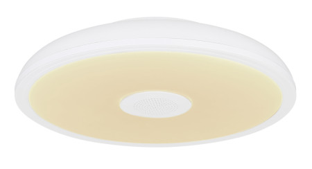 Потолочный светильник Globo Raffy 41366W