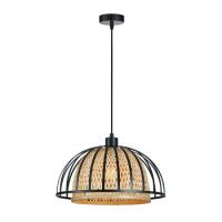 Подвесной светильник Arte Lamp Woodstock A7071SP-1BK