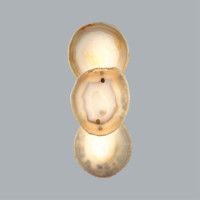 Настенный светильник Odeon Light Agate 7065/10WL