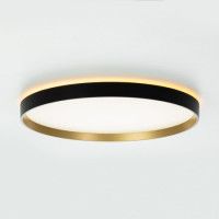 Потолочный светильник Citilux Etalon CL750401R