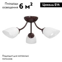 Потолочная люстра Vitaluce V3404/3PL