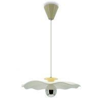 Подвесной светильник Lightera Colorado LE101L-40Y