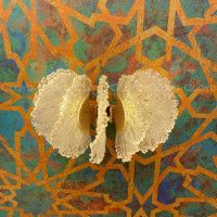 Настенный светильник Cloyd Antigua 20363