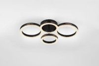 Потолочный светильник Rivoli Flora 6191-201