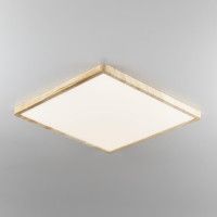 Потолочный светильник Citilux Бейсик CL738K502V