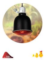 Светильник для террариумов и брудеров Эра FITO-E27-SHADE Б0053286