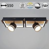 Потолочный светильник Reluce 19560-0.3-2+2 BK+WOOD