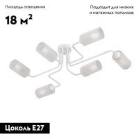 Потолочная люстра Vitaluce V4310-0/6PL