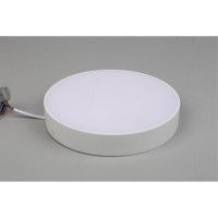 Потолочный светильник Aployt Evon APL.0113.09.24