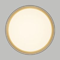 Потолочный светильник Citilux Boss CL751351G