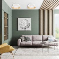 Потолочный светильник Loft IT Evans 10224 Black