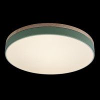 Потолочный светильник Loft IT AXEL 10001/36 Green