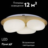 Потолочная люстра Reluce 10009-0.3-60W AEROLITE