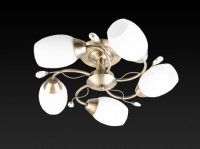 Потолочная люстра Toplight Alana TL3580X-05AB