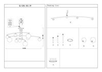 Потолочная люстра ST LUCE SEMBRARE SL1208.302.09