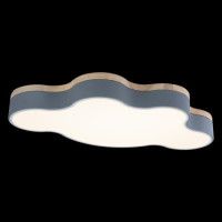 Потолочный светильник Loft IT AXEL 10005/36 Grey