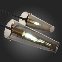 Люстра на штанге ST Luce Morave SL1209.302.06