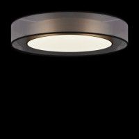 Потолочный светильник Freya Zoticus FR6005CL-L48G