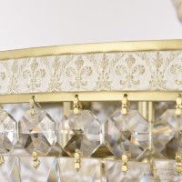 Потолочная люстра Bohemia Ivele Crystal AL19041/55FL AGW