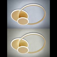 Потолочная люстра Natali Kovaltseva LED LAMPS 81306