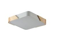 Потолочный светильник Zortes Alberro ZRS.01285.60