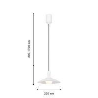 Подвесной светильник Favourite Baster 4274-1P