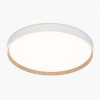 Потолочный светильник Citilux Etalon CL750400R