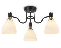 Потолочная люстра Ambrella Light Modern TR303303