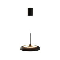 Подвесной светильник Maytoni Gerhard MOD189PL-L39B3K