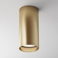 Потолочный светильник Maytoni Focus C010CL-01MG