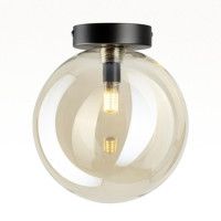 Потолочный светильник Citilux Orton CL202512