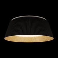 Потолочный светильник Loft IT Evans 10224 Black