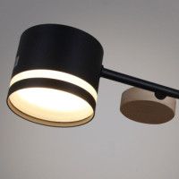 Люстра на штанге Reluce 68730-0.3-10 GX53 BK+WOOD