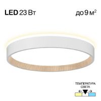 Потолочный светильник Citilux Etalon CL750240